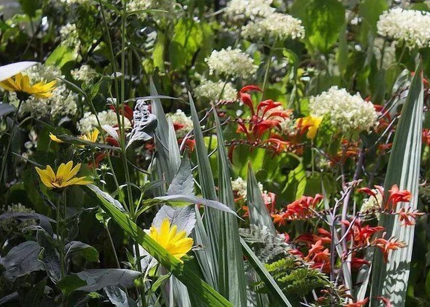 England Melton Mowbray Primary image