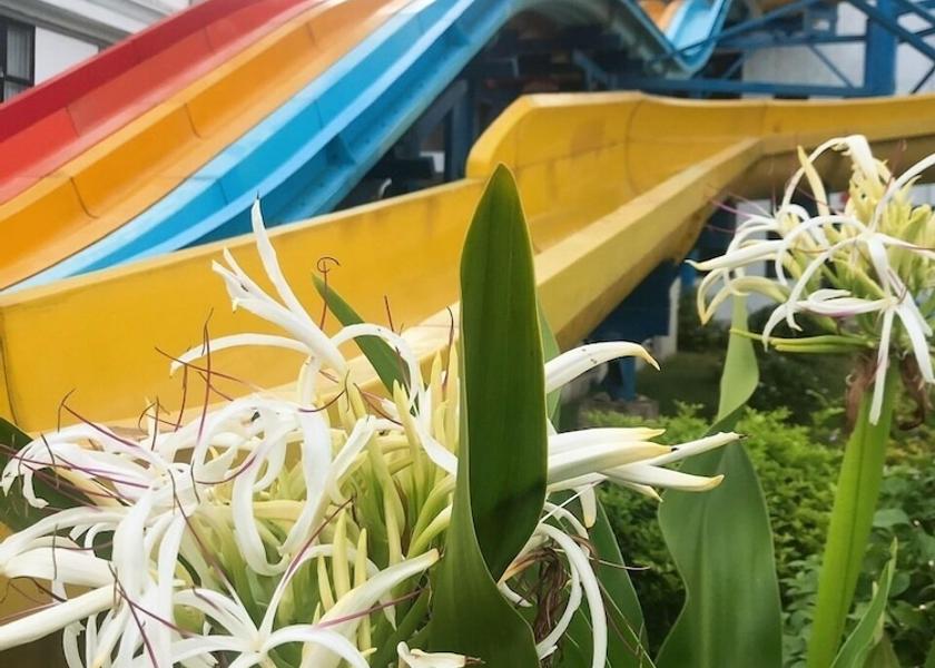Ninh Binh Ninh Binh Land View from Property