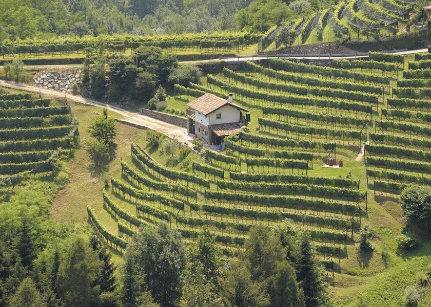 Friuli-Venezia Giulia Nimis Winery