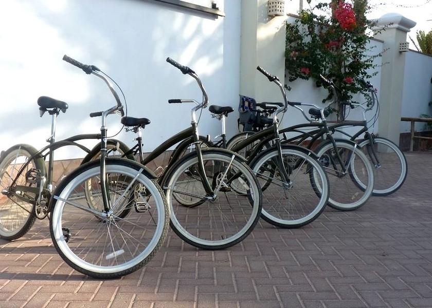 Ica (region) Paracas Bicycling