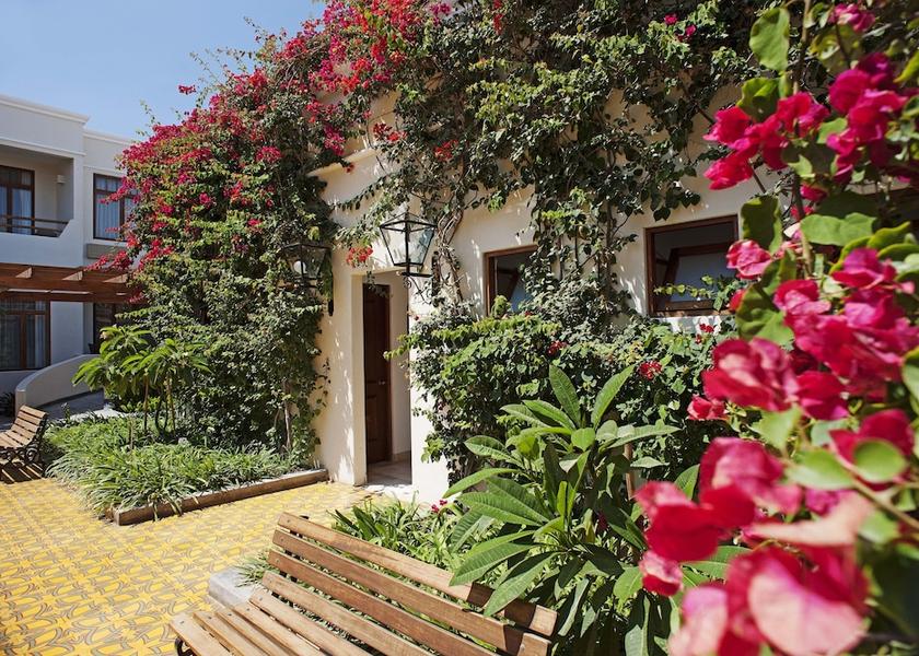 Ica (region) Paracas Exterior Detail