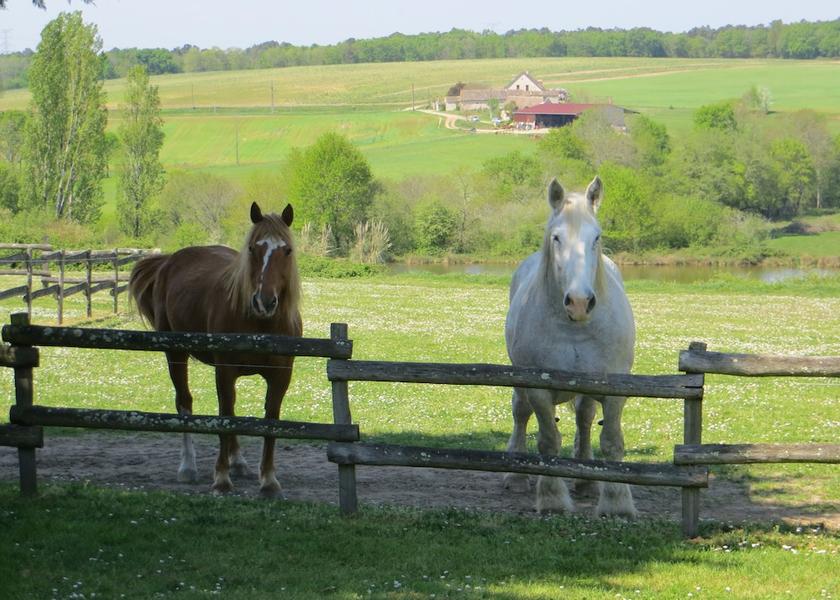 Bourgogne-Franche-Comte Saint-Remy Exterior Detail
