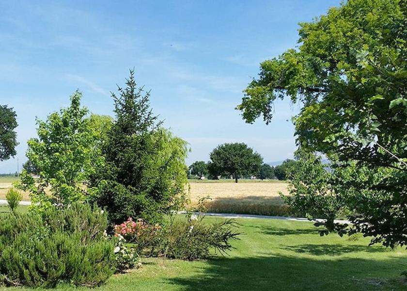 Umbria Spello Property Grounds