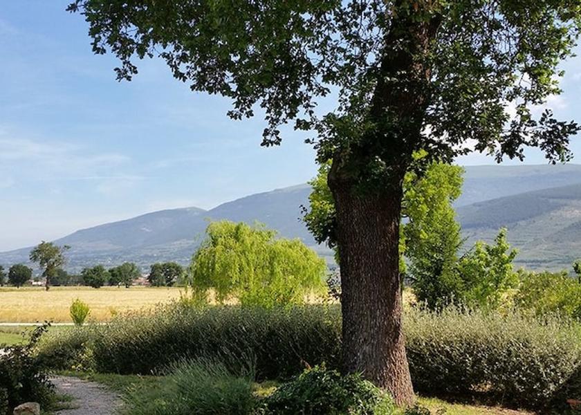 Umbria Spello View from Property