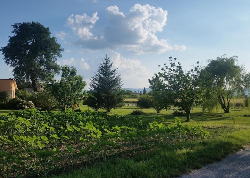 Umbria Spello Property Grounds