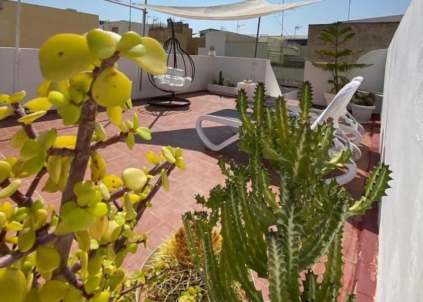 Canary Islands Santa Cruz de Tenerife Terrace
