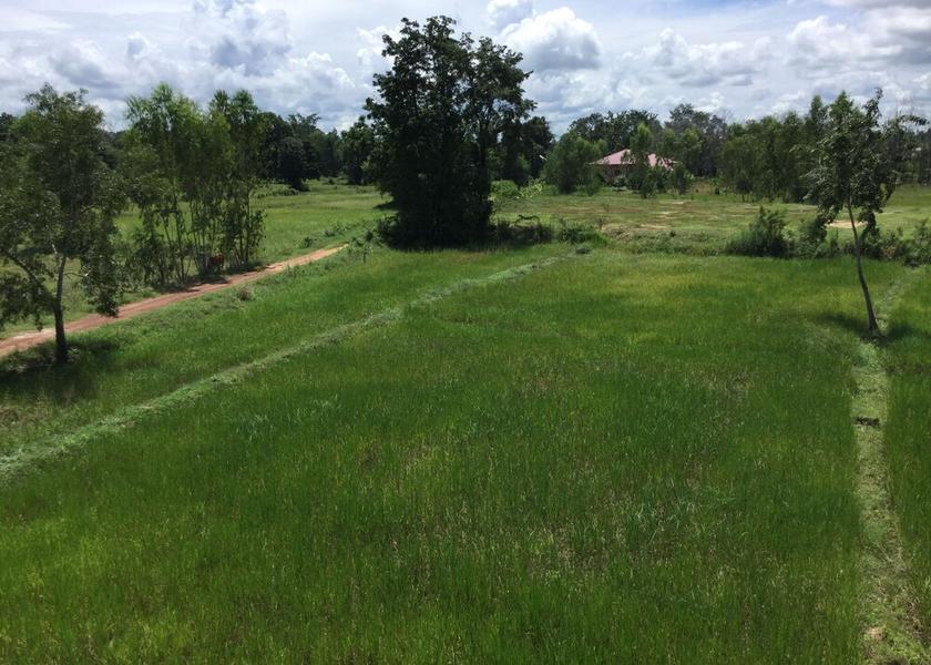 Buriram Province Pakham View from Property