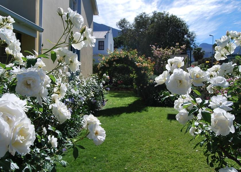 Western Cape Franschhoek Garden