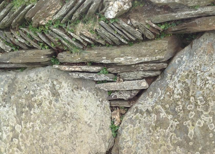 England Boscastle Exterior Detail