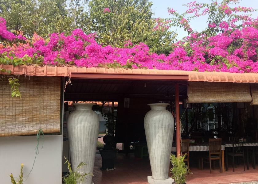 Western Province Negombo Facade