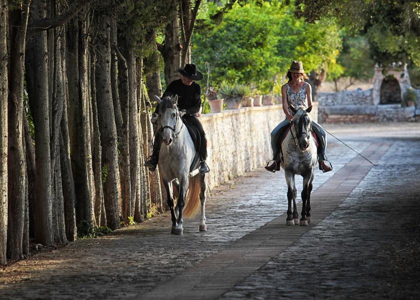 Balearic Islands Porreres Horseback riding