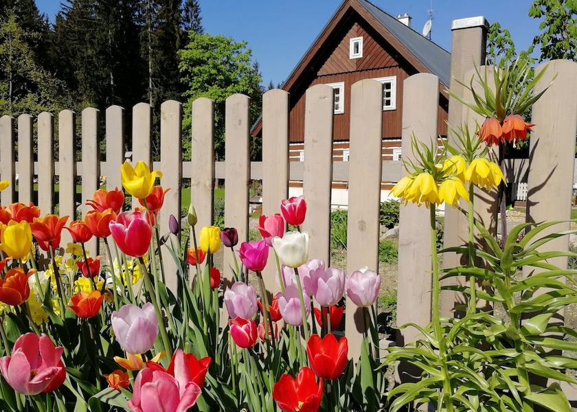 Liberec Region Harrachov Exterior Detail