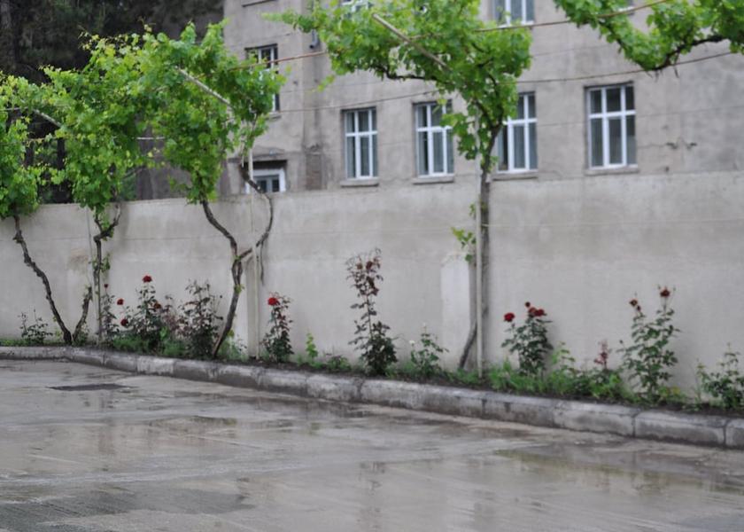  Akhaltsikhe Exterior Detail