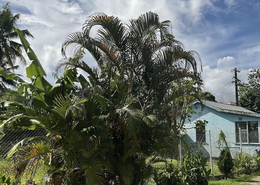 Central Division Suva Facade