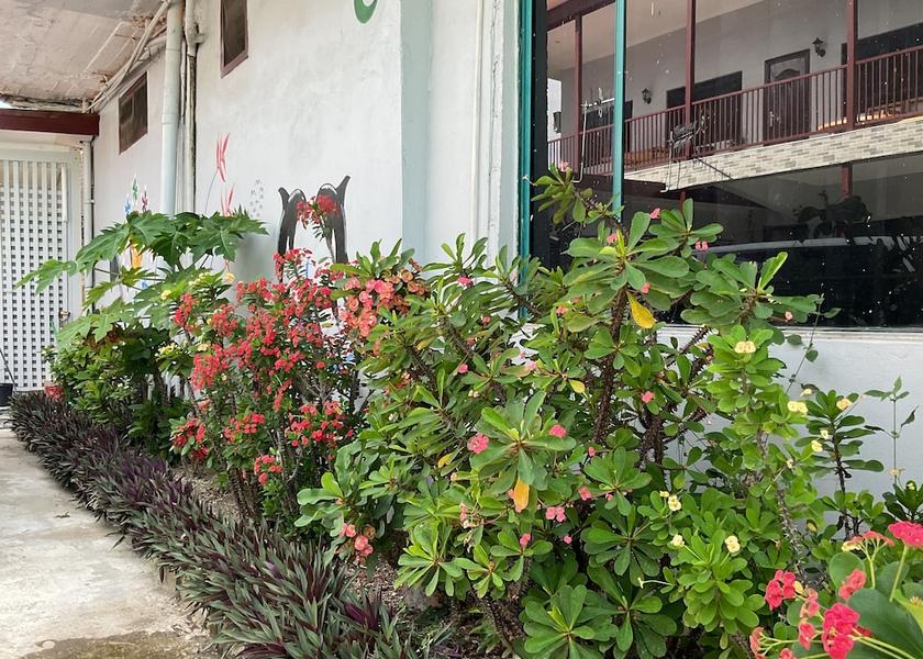 Central Division Suva Facade