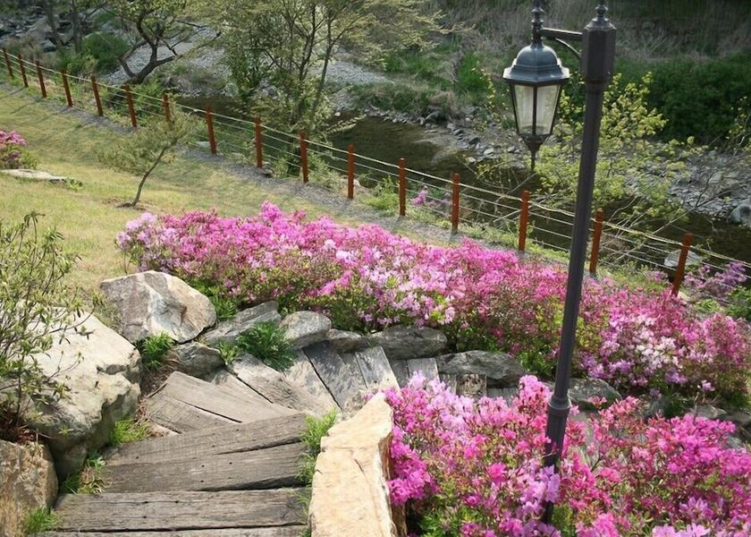 Gyeonggi Gapyeong Exterior Detail