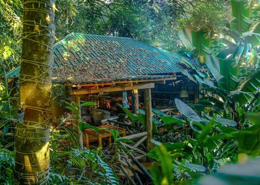  Arusha Primary image