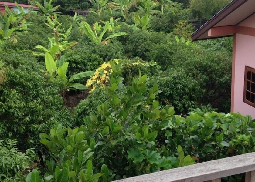Sukhothai Sawankhalok Terrace