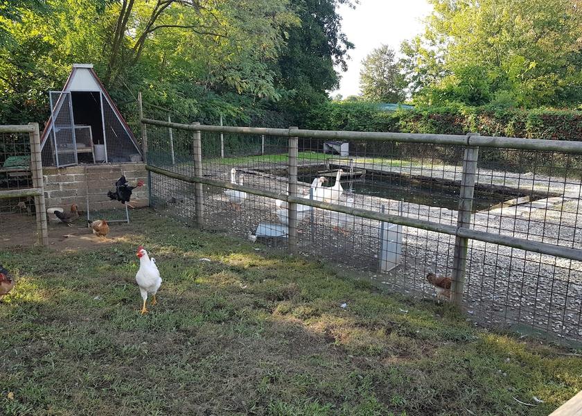 Veneto Castelfranco Veneto Exterior Detail