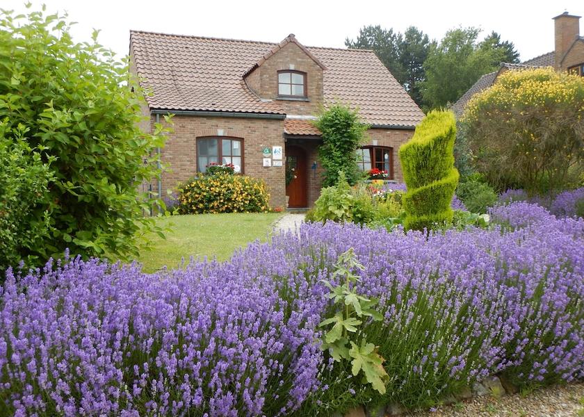 Walloon Region Mons Facade