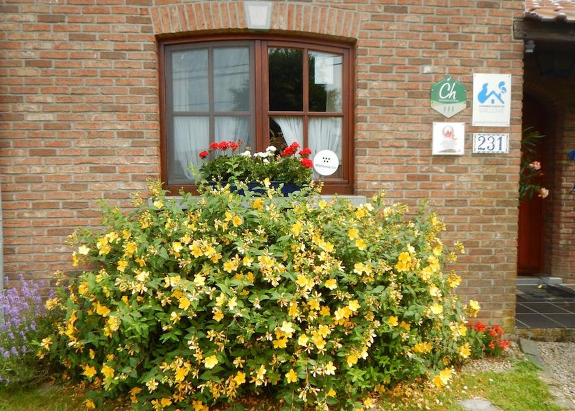 Walloon Region Mons Entrance