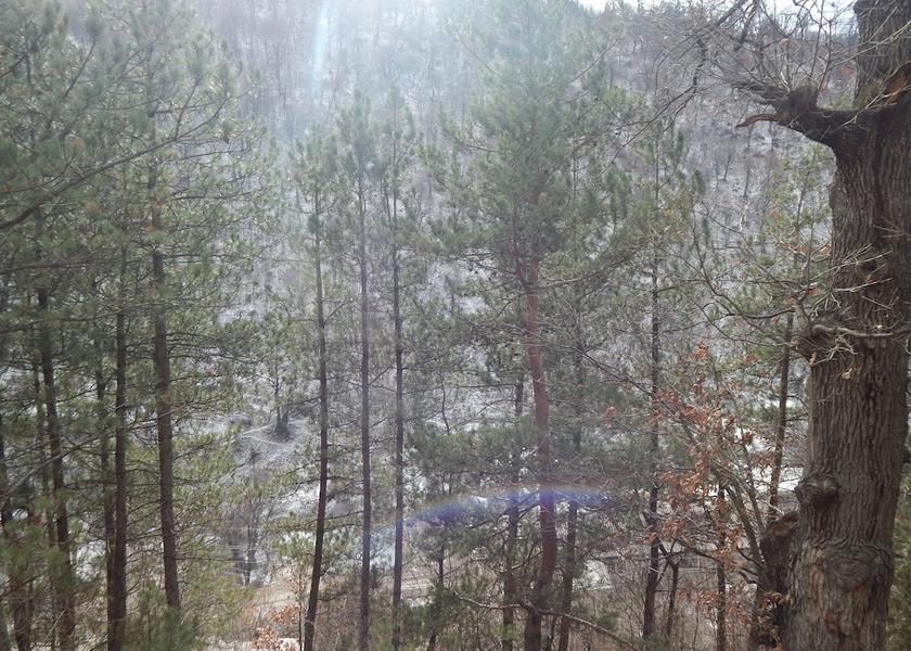  Dilijan Property Grounds