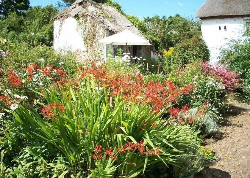 England Okehampton Amenity