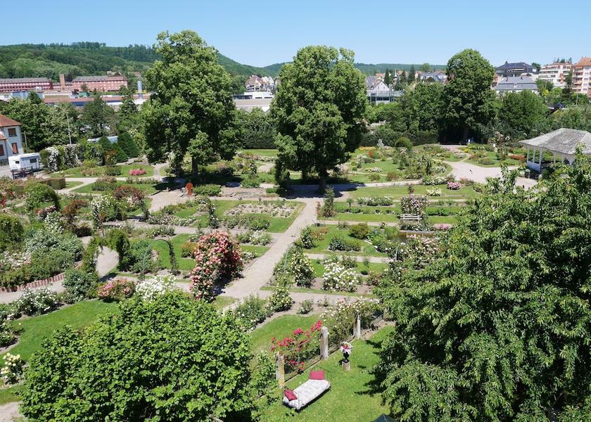 Grand Est Saverne View from Property