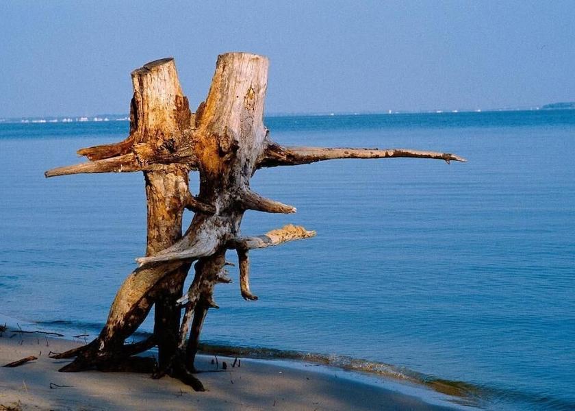 Nouvelle-Aquitaine Saint-Trojan-les-Bains Beach