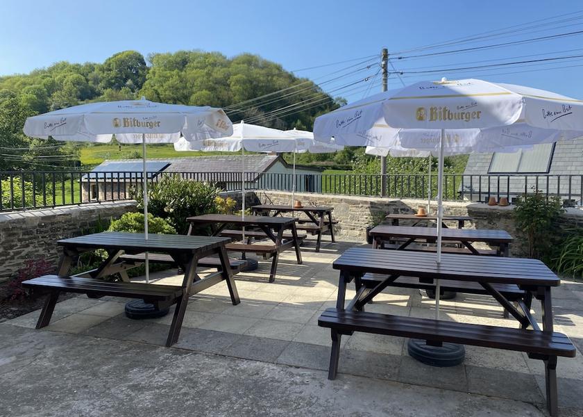 Wales Knighton Garden