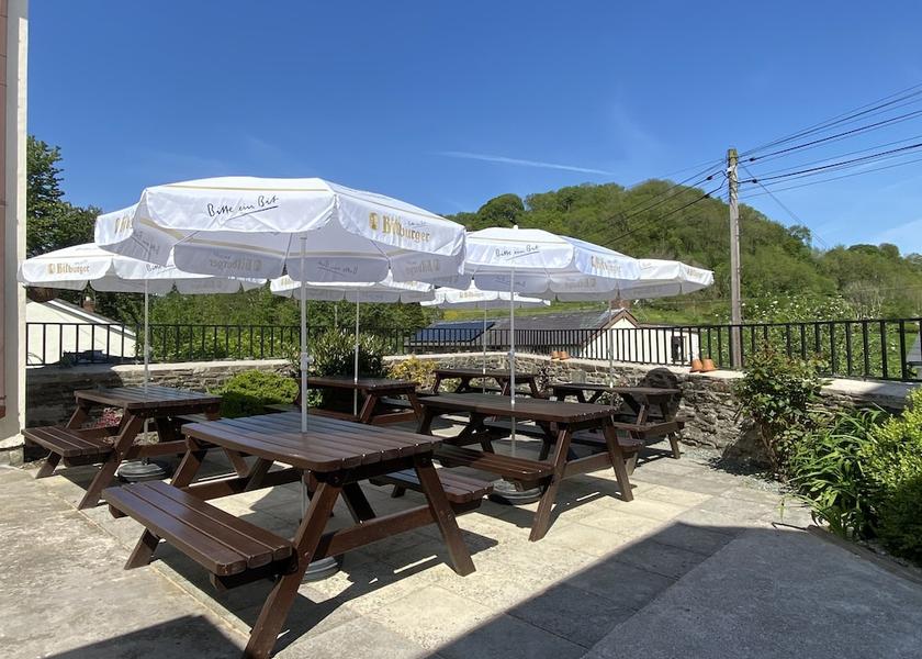 Wales Knighton Garden