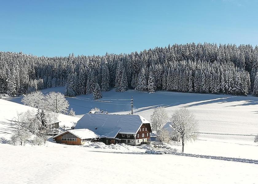 Baden-Württemberg Titisee-Neustadt Snow and Ski Sports