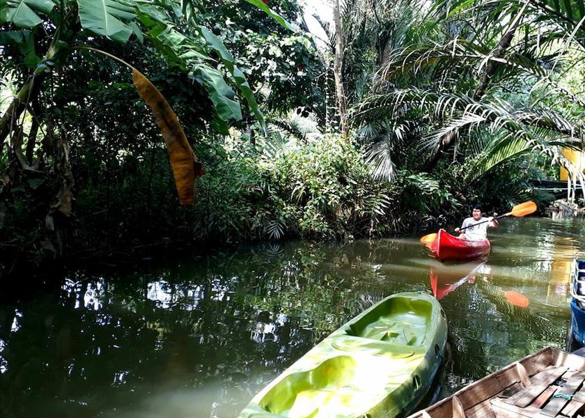 Samut Prakan Province Phra Pradaeng Kayaking
