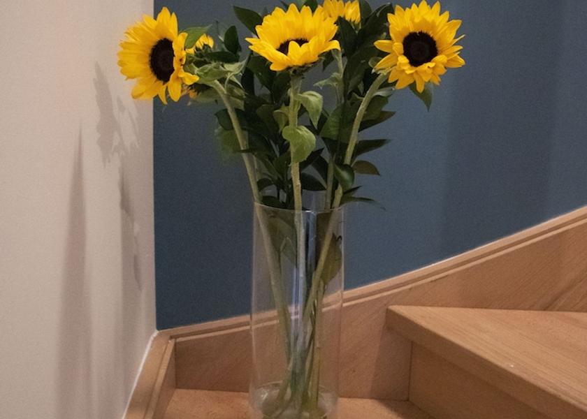 Flemish Region Zoersel Interior Entrance