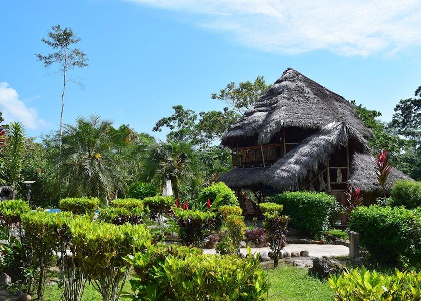 Napo Misahualli Pool Side Bar