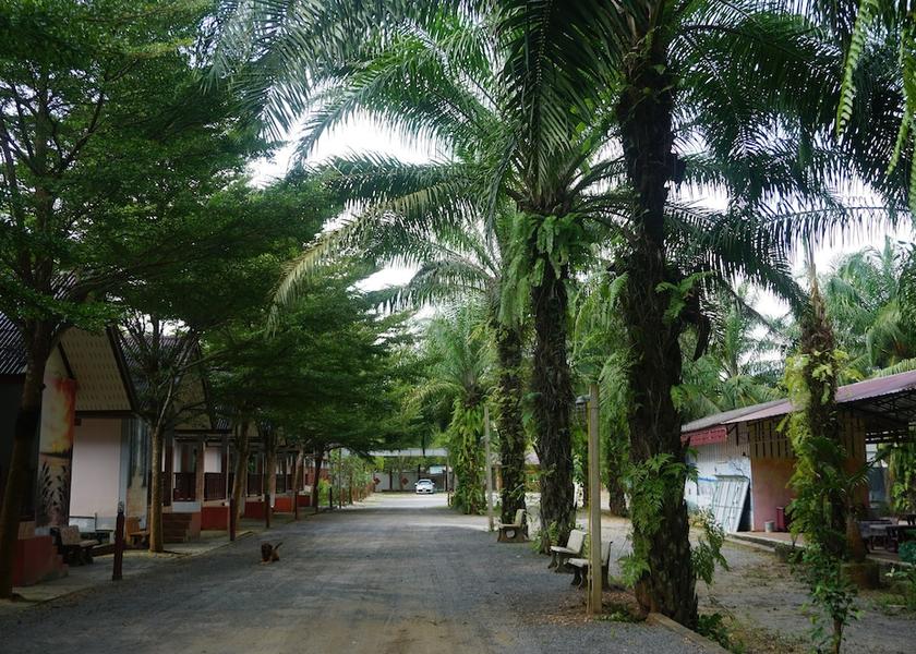 Surat Thani Khiri Rat Nikhom Property Grounds