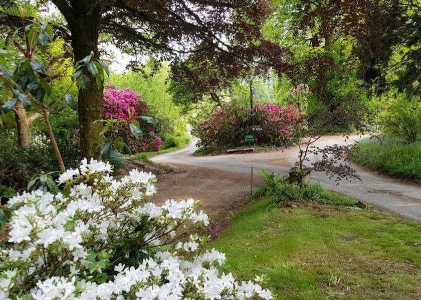 England Liskeard Property Grounds