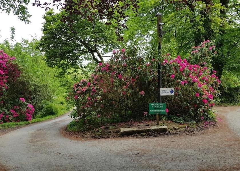 England Liskeard Property Grounds