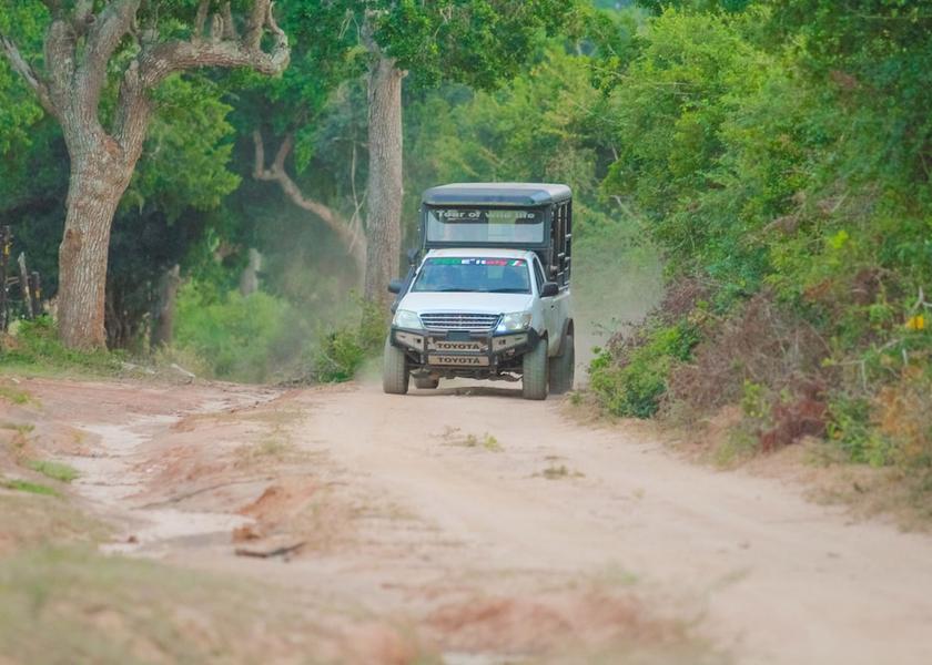 Hambantota District Tissamaharama Exterior Detail