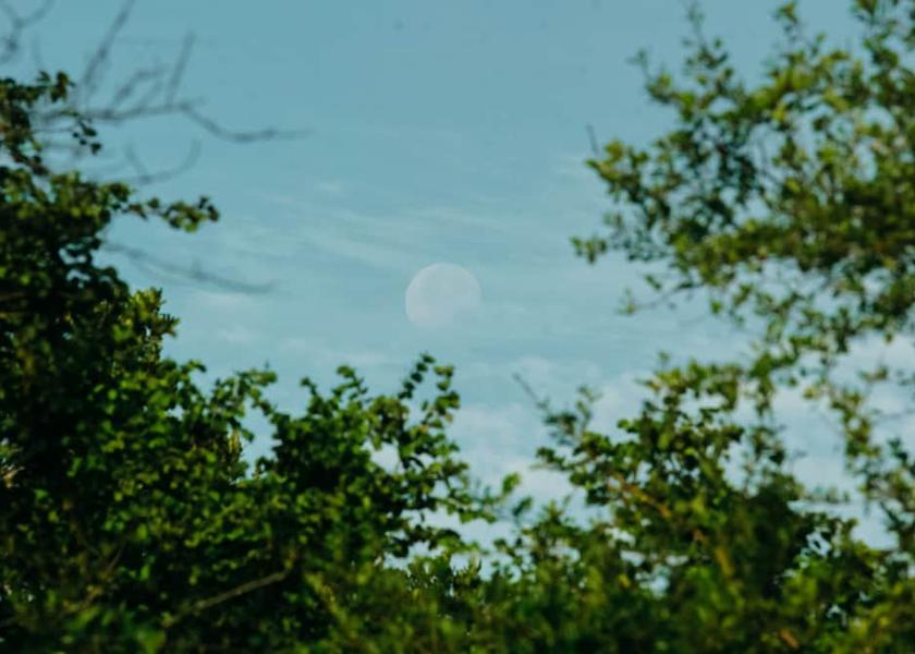 Hambantota District Tissamaharama Exterior Detail