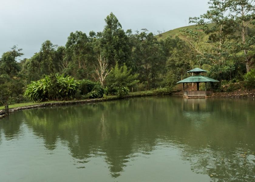 Guanacaste Guayabo Exterior Detail