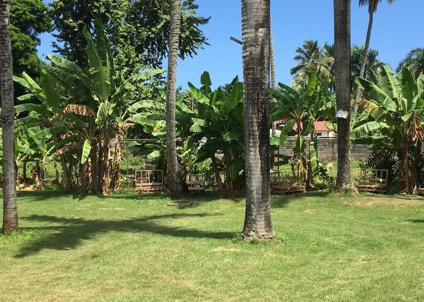 Samana Las Terrenas Exterior Detail