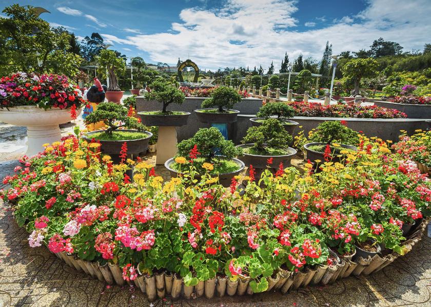 Lam Dong Province Da Lat 