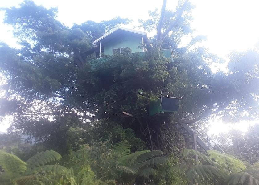  Tanna Island Exterior Detail