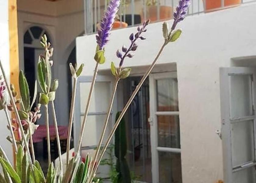 Casablanca-Settat El Jadida Terrace