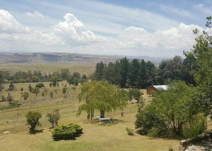 Free State Fouriesburg Property Grounds