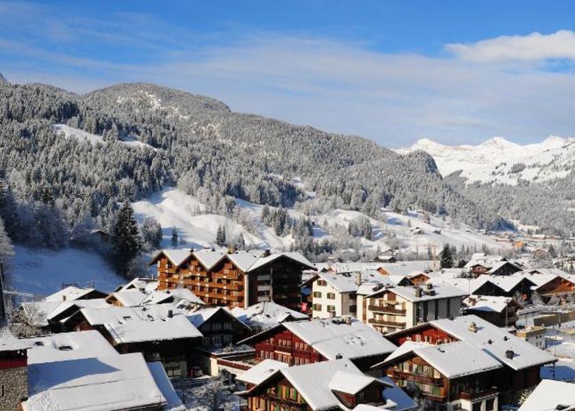 Canton of Bern Saanen Entrance