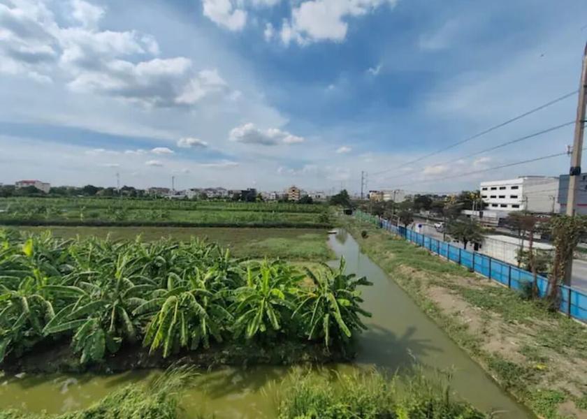 Bangkok Bang Phli View from Property