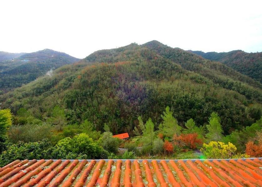 Liguria Apricale View from Property