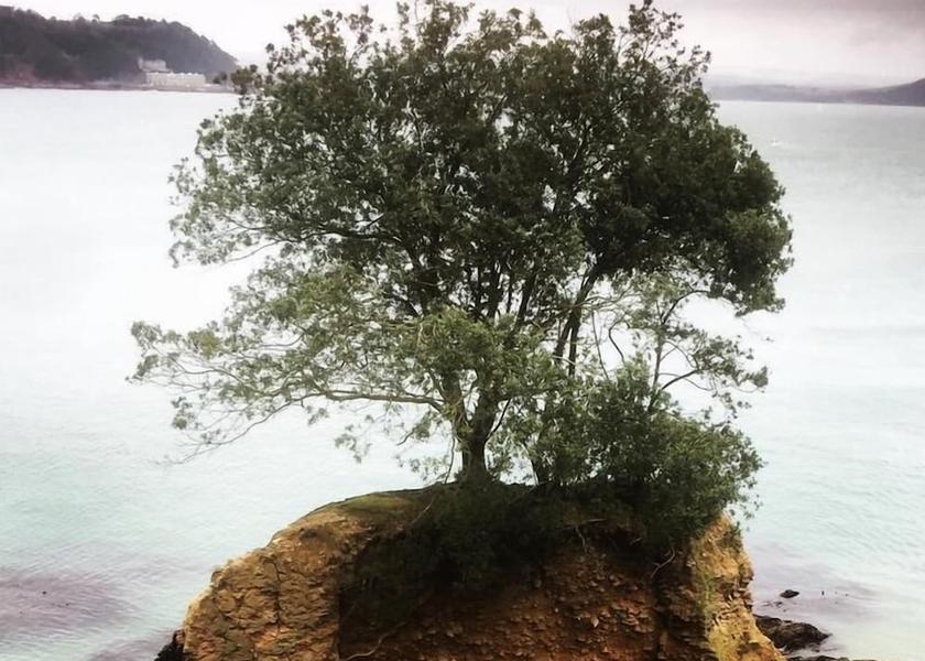 England Torpoint View from Property